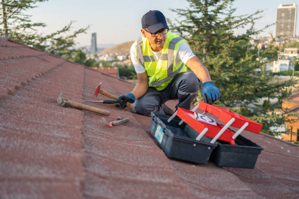 Best Fascia and Soffit Installation  in Jacksboro, TN